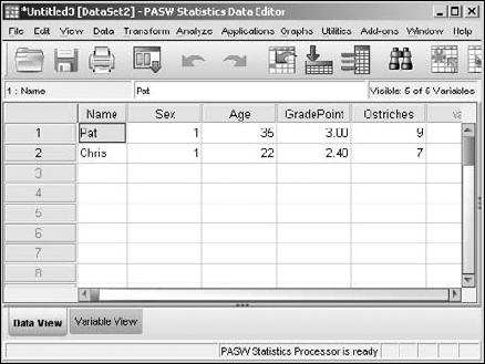 The data as formatted in SPSS.