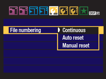 The File numbering options screen