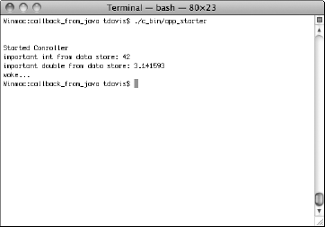 The callback_from_java output