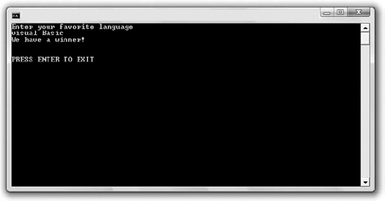 A console application uses the command prompt window to interact with the user.