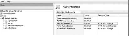 Basic Authentication settings