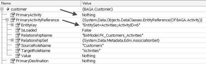 PrimaryActivity and PrimaryActivityReference properties of a Customer that was queried without any of its related data