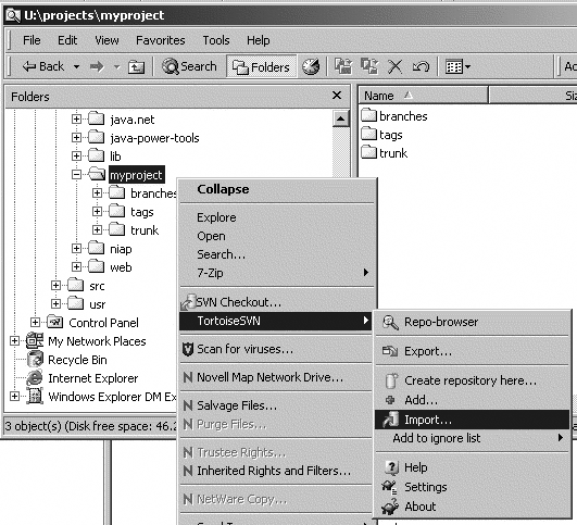 Importing a project structure into a Subversion repository