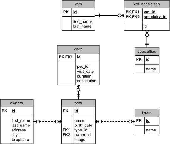 PetClinic schema