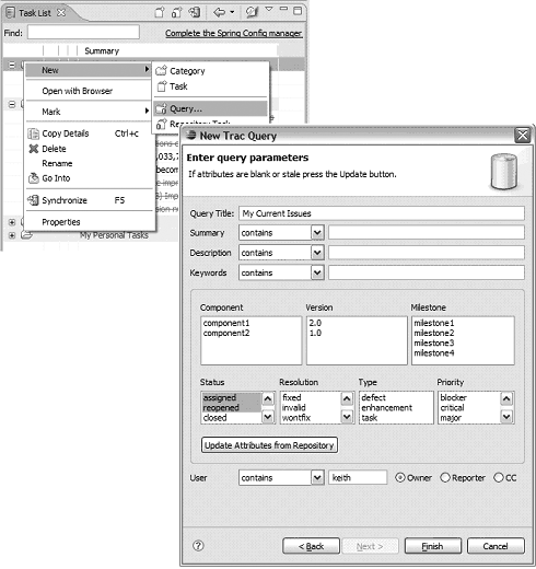 Querying the issue management system