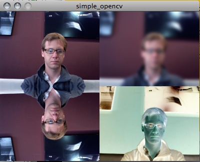 Capturing and displaying live video with the OpenCV library for Processing