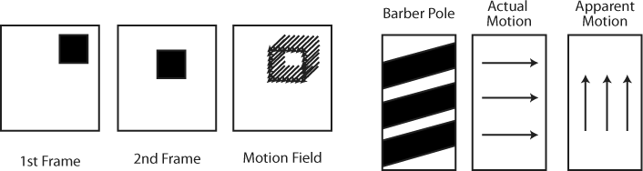 Detecting movement using apparent motion; on the left, apparent motion is detected correctly, while on the right, you can see how apparent motion might not match actual motion