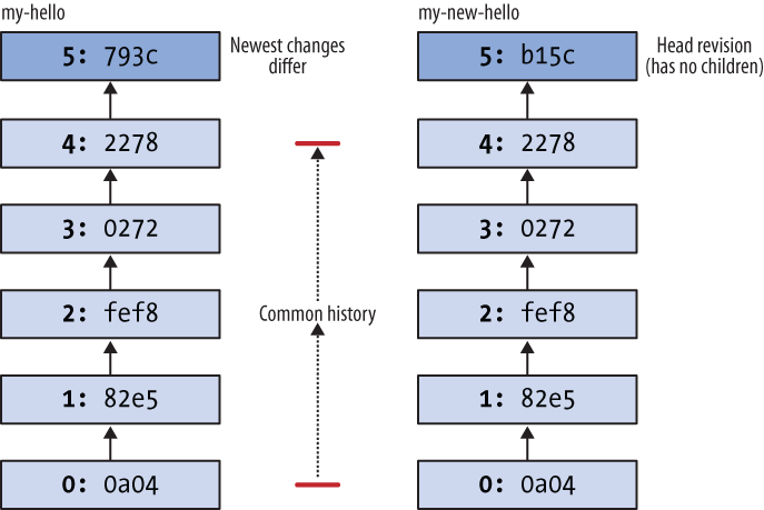 Divergent recent histories of the my-hello and my-new-hello repositories