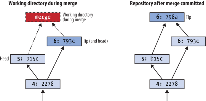 Working directory and repository during merge, and following commit