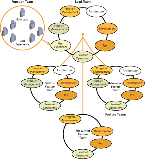 Example of a team model that includes feature teams, a function team, and a lead team