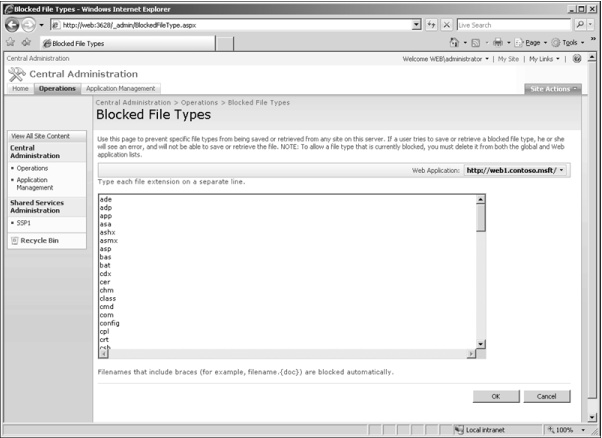 Each blocked file type must be on a separate line.