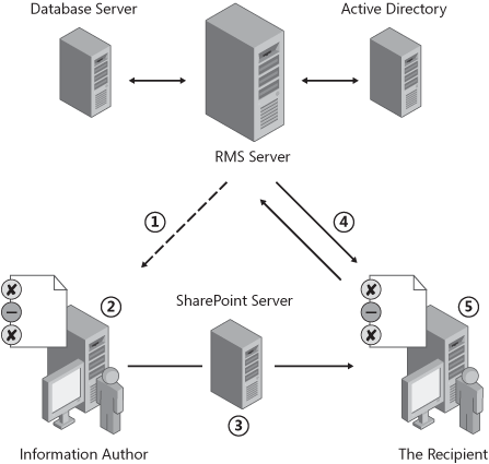 Information Rights Management Server environment