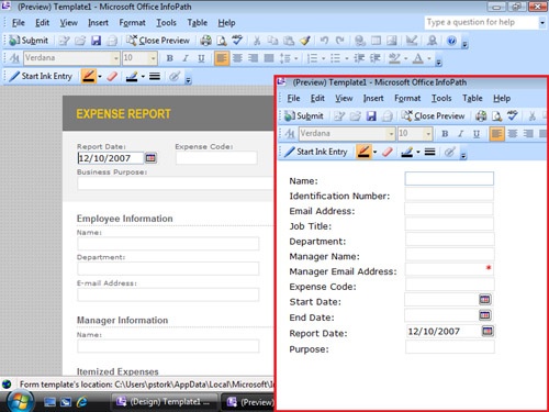 Data entry and end-user views of an InfoPath form