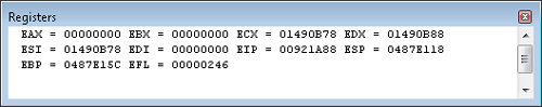 The Registers window