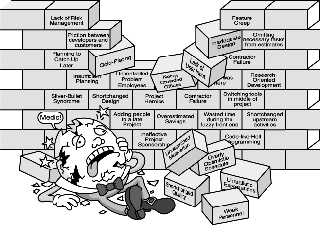 The software project was riddled with mistakes, and all the king's managers and technical leads couldn't rescue the project for anyone's sake.