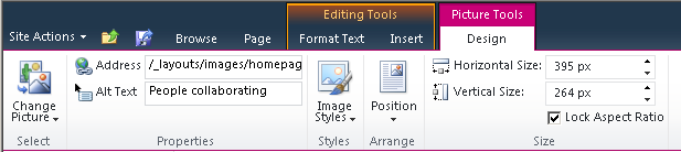 The Design tab in Picture Tools.