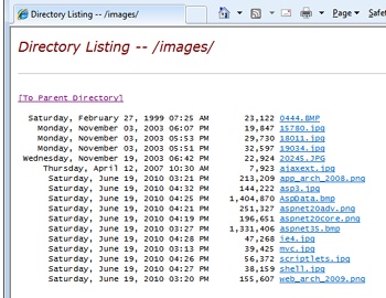 The standard IIS-provided view of a folder.