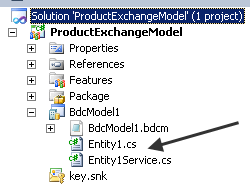 Delete these redundant C# files.