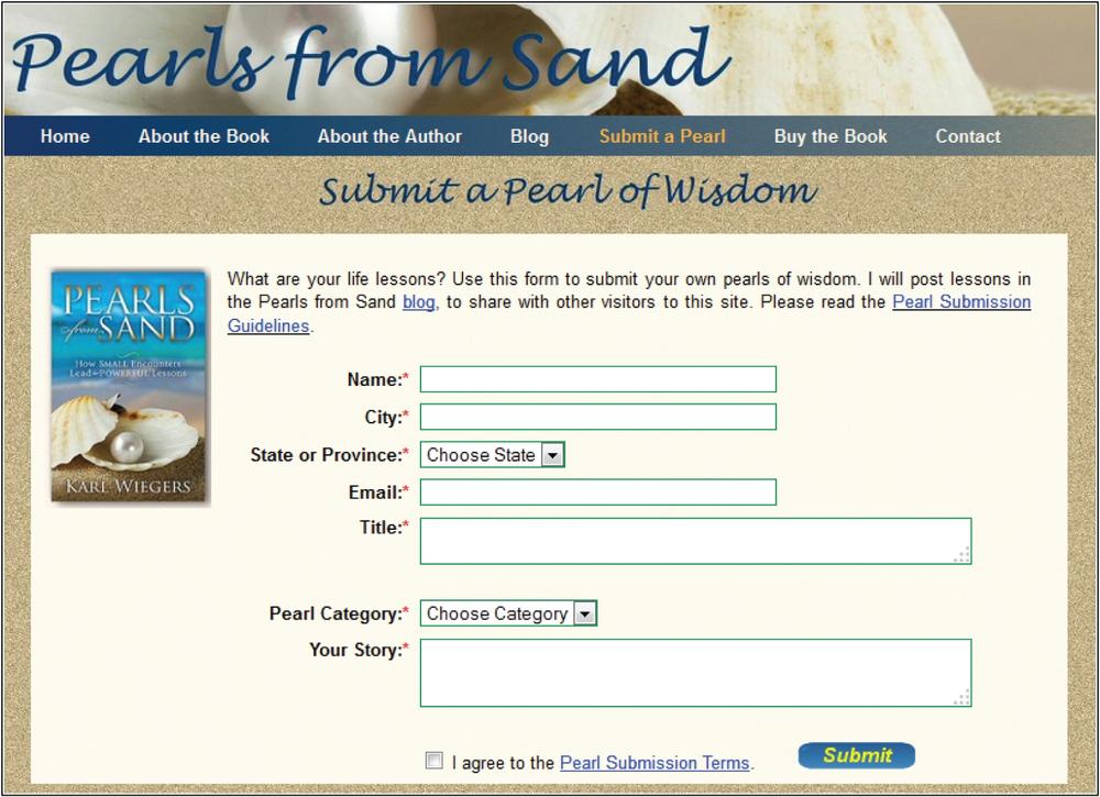 A screen shot of a webpage that contains several input
                fields so a user can submit a personal experience story to be
                posted in the blog for the website.