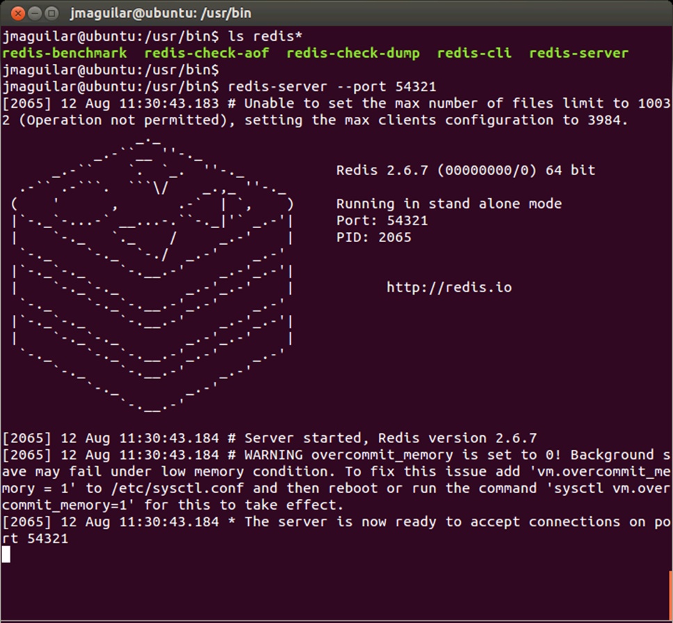 A screen shot of a terminal working on the Ubuntu operating system. /usr/bin/redis-server has been started on it.