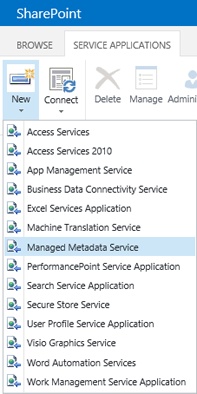 The figure shows a screen shot of the Managed Metadata Service link.