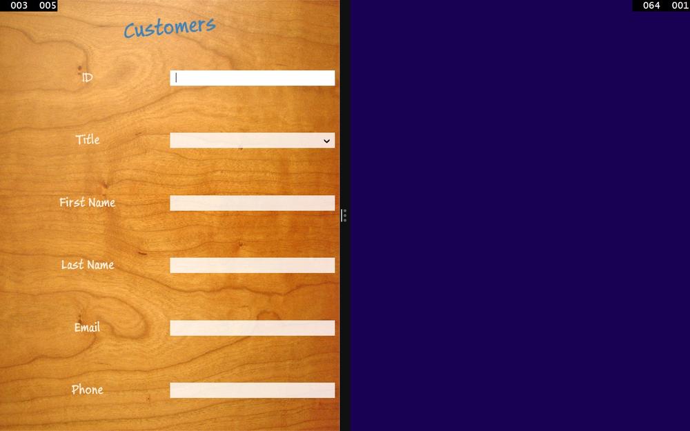 A screenshot of the Customers form occupying the left half of the screen. The form uses the styles defined in the Customers app.