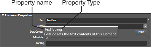 The property expected type in the ToolTip.