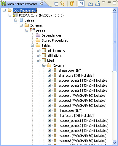 Database connection tree view in the Data Source Explorer.