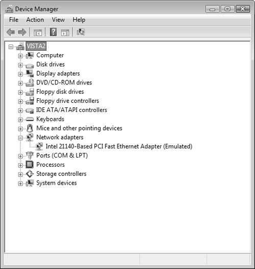 Device Manager displays the network adapter.