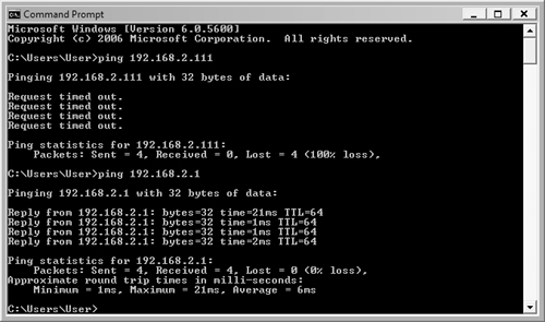 The ping command displays its results in a command window.