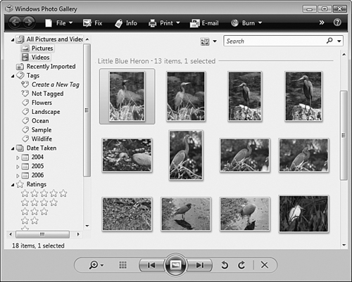 Windows Photo Gallery is a convenient means of accessing and working with your digital photo collection. (All photos by the author.)