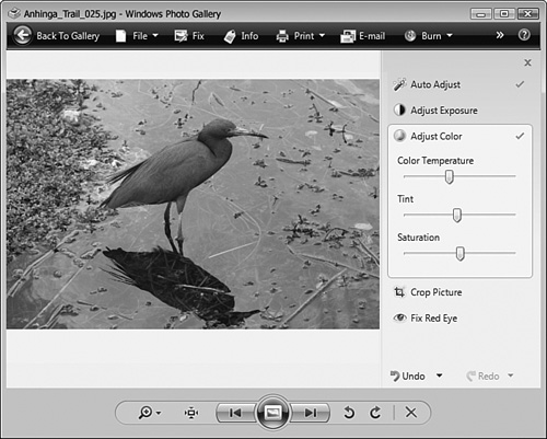 Windows Photo Gallery enables you to perform simple fixes on your photo. (Photo by the author.)