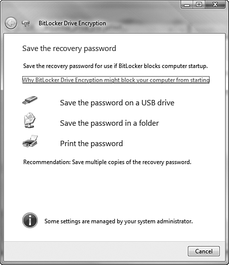 The Save the Recovery Password dialog box provides three options for saving your password.