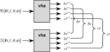 ch20-fig20.6.jpg