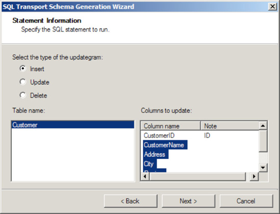 Using the SQL Transport Generation Wizard's Statement Information dialog