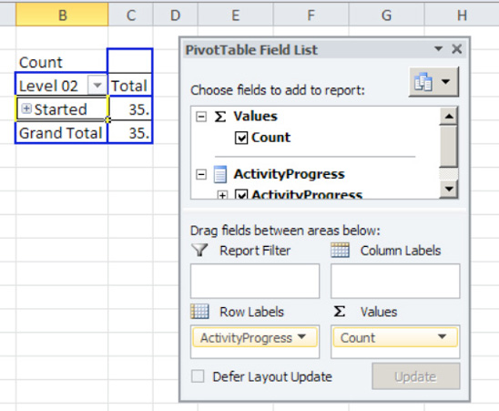 Viewing the pivot table's data items