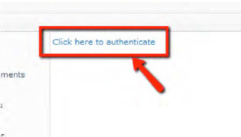 Authenticate with credentials