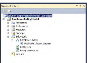 The .NET Connector Assembly in Solution Explorer