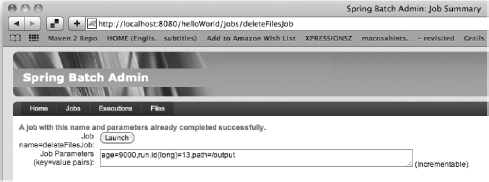 Running a duplicate JobInstance