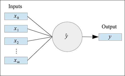 Representing neural networks