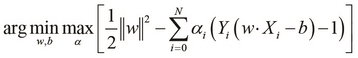 Alternative forms of SVMs