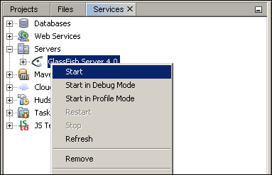 Starting the GlassFish server in NetBeans