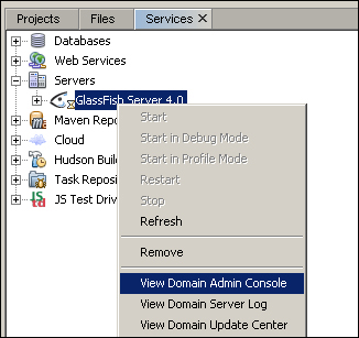 Starting the GlassFish server in NetBeans