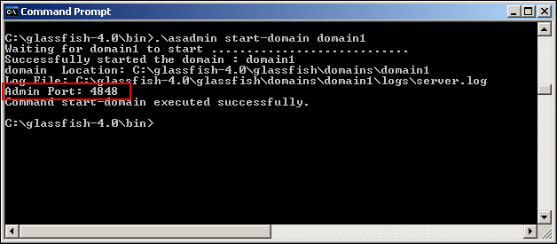 Opening the GlassFish admin console