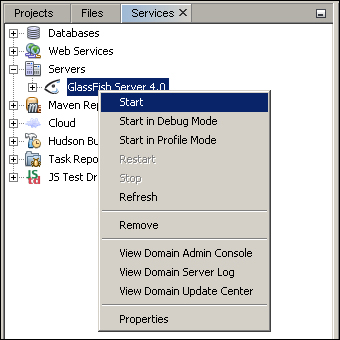 Starting the GlassFish 4 server