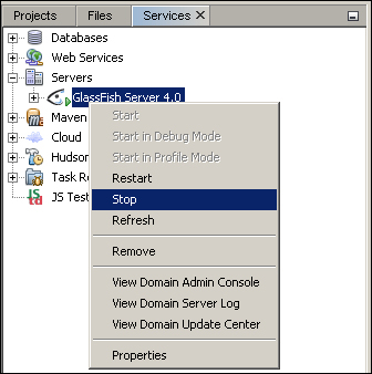 Starting the GlassFish 4 server