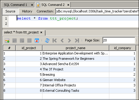 The projects table