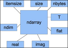 NumPy array attributes