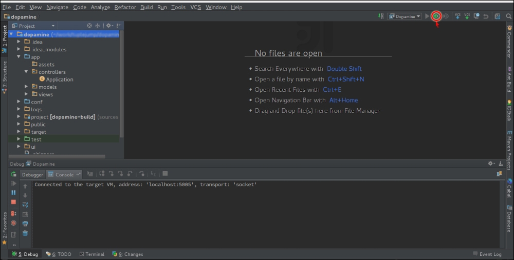 Configuring an IDE for debugging