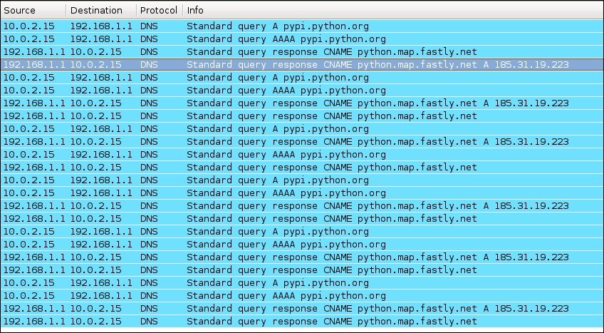 Inspecting DNS client/server communication